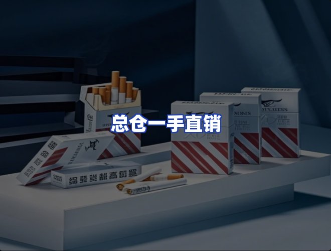 专业团队
